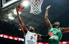 Anadolu Efes'in konuğu Panathinaikos oluyor!