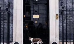 Booking.com’da 10 Downing Street sahte ilanı skandalı
