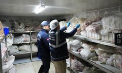 Gaziosmanpaşa’da 15 ton bozuk et ele geçirildi