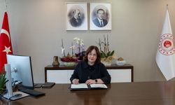 COP31 ne zaman başlıyor ve Türkiye hangi hedefleri koydu?