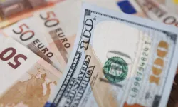 Serbest Piyasada Dolar 49,57, Avro 55,71 Liradan Açıldı