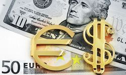 Dolar 49,62 Liradan, Avro 55,93 Liradan Güne Başladı