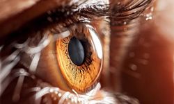 Aşırı Optimizasyon Kültürel ve Biyolojik Çeşitliliği Tüketiyor