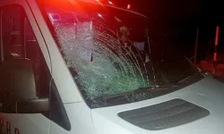 Batı Şeria'da zeytin hasadına engel: Ağaçları söküp ateşe verdiler