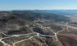Eber Gölü ve Sarıcaova’da yaban hayatı izleniyor