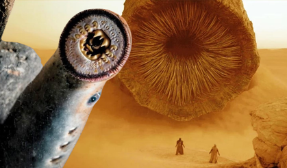 Dune filmindeki solucanları kıskandıracak dişlere sahip! Bofa balığı hakkında bilmeniz gereken her şey…