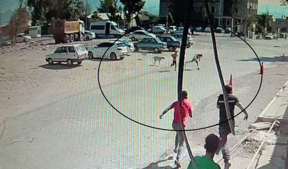 Sokak köpeklerinin saldırdığı çocukları çevredekiler kurtardı