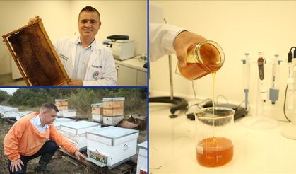 Borla üretilen doğal solüsyon arıları öldüren zararlıları yok ediyor