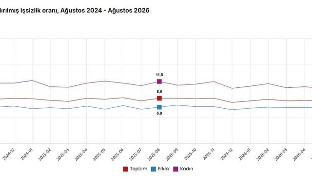 İşsizlik oranı ağustosta yüzde 7,8'e geriledi: TÜİK verileri