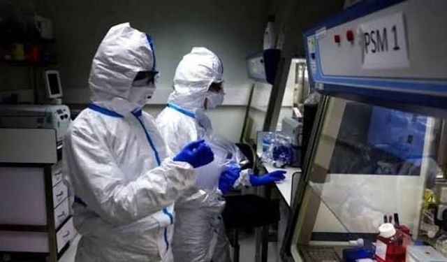 Endonezya, Sibirya'daki vaka nedeniyle girişlerde önlem aldı