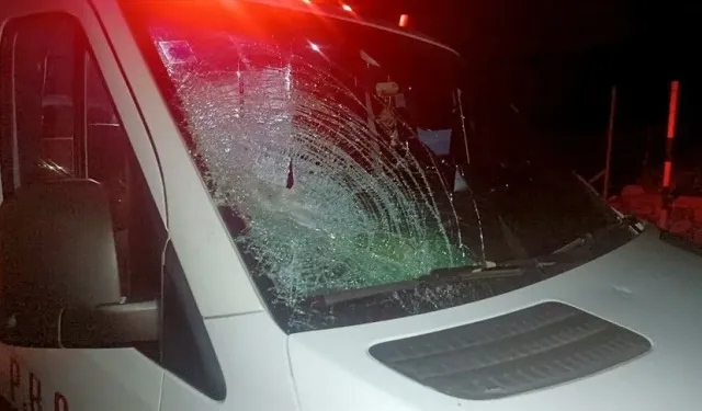 Batı Şeria'da zeytin hasadına engel: Ağaçları söküp ateşe verdiler