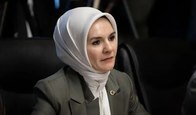 Bakan Göktaş: Gazi kimlik kartlarını teslim etmeye başladık