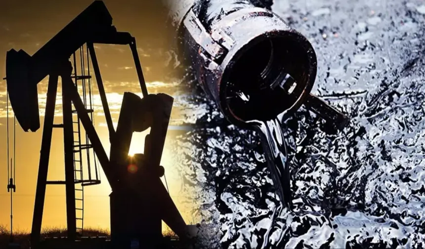 Bir ile daha petrol piyangosu vuracak! Yerler belirlendi