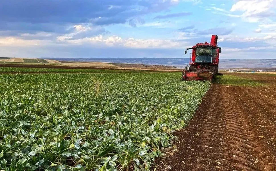 Bakan Yumaklı: Pancar üreticilerine 952 milyon lira yatırıldı