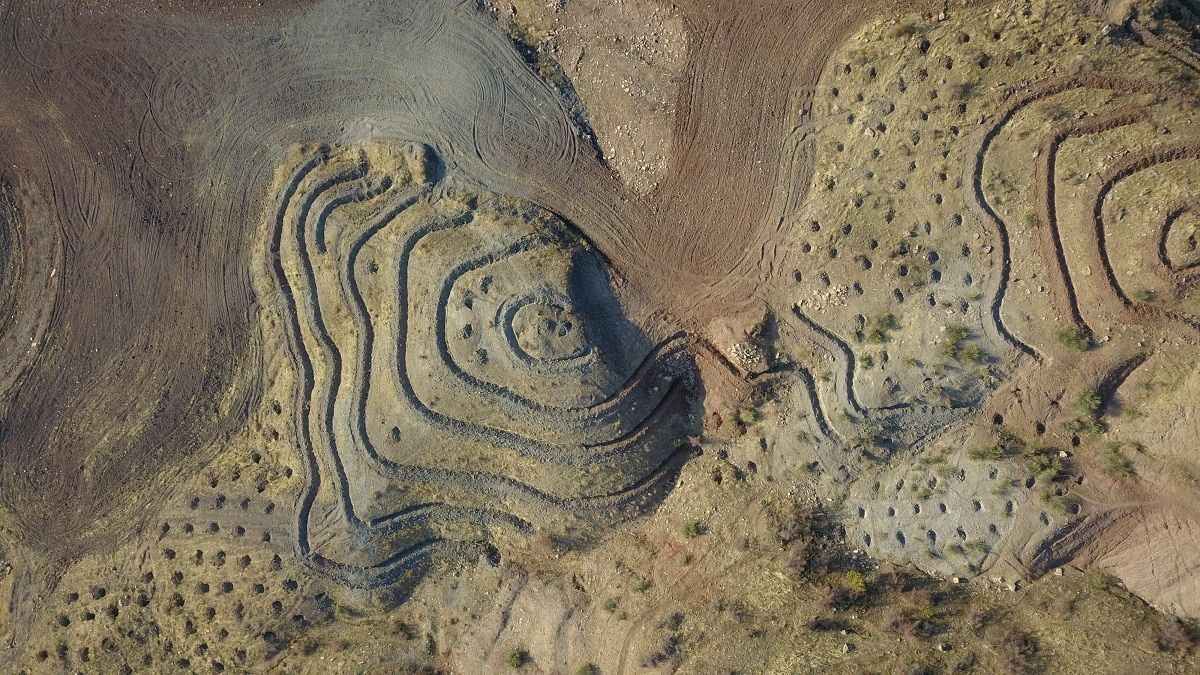 Siirt’te 13 bin 500 fidan dikilerek bal ormanı oluşturuldu