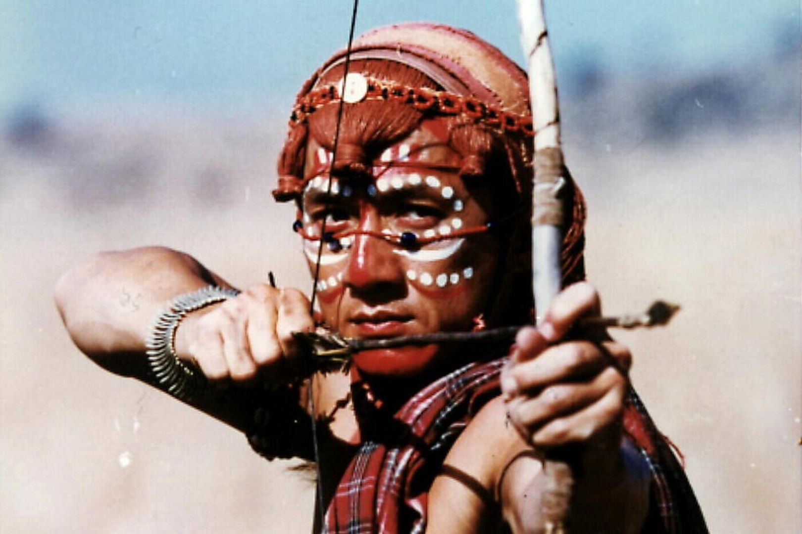 Afrika Kaplanı