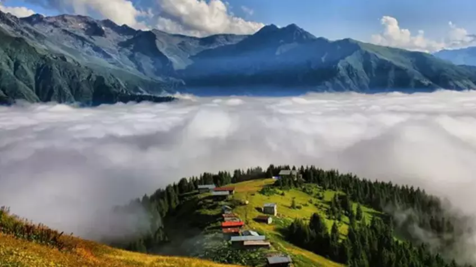 Pokut Yaylası 1